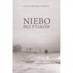 Niebo bez ptaków