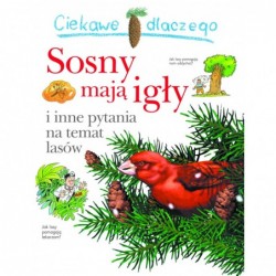 Ciekawe dlaczego sosny mają...