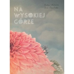 Na wysokiej górze