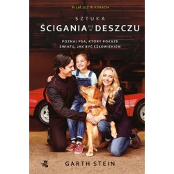 Sztuka ścigania się w deszczu