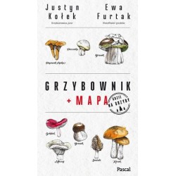 Grzybownik + mapa