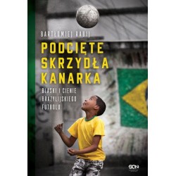 Podcięte skrzydła kanarka....