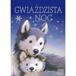 Gwieździsta noc
