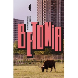 Betonia. Dom dla każdego