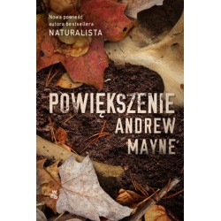Powiększenie