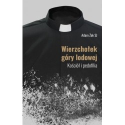 Wierzchołek góry lodowej....