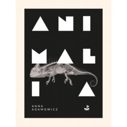 Animalia