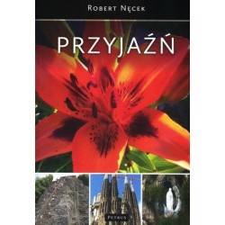 Przyjaźń