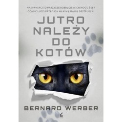 Jutro należy do kotów