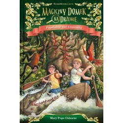 Popołudnie nad Amazonką....