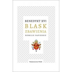 Blask zbawienia. Homilie...