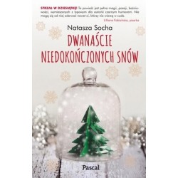 Dwanaście niedokończonych snów