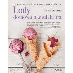 Lody. Domowa manufaktura