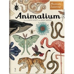 Animalium. Muzeum Zwierząt