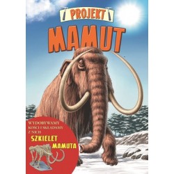 Projekt. Mamut