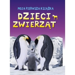 Moja pierwsza książka:...