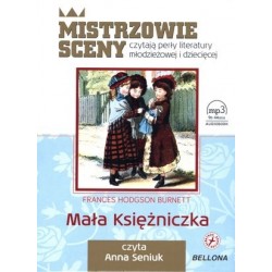 Mała Księżniczka (książka...