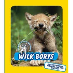 Wilk Borys. Świat dzikich...