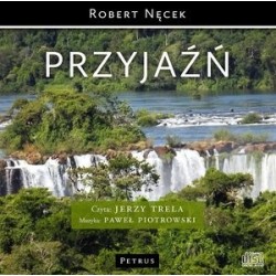 Przyjaźń (książka audio)