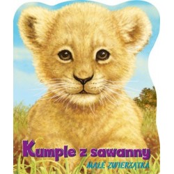 Kumple z sawanny