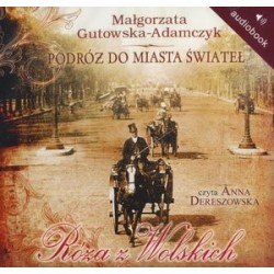 Podróż do miasta świateł....