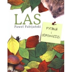Las. Pytania i odpowiedzi