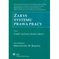 Zarys systemu prawa pracy....