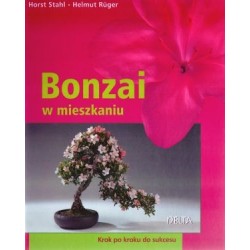Bonzai w mieszkaniu