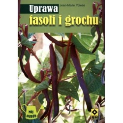 Uprawa fasoli i grochu