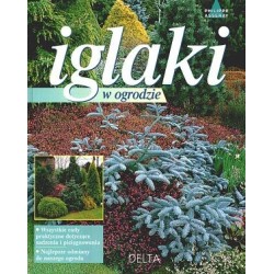 Iglaki w ogrodzie
