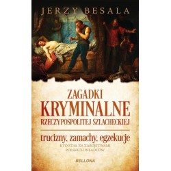 Zagadki kryminalne...