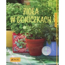 Zioła w doniczkach