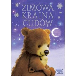 Zimowa kraina cudów