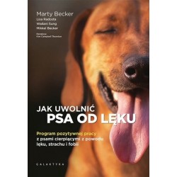 Jak uwolnić psa od lęku