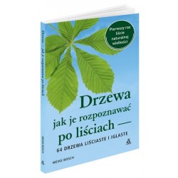 Drzewa – jak je rozpoznawać...