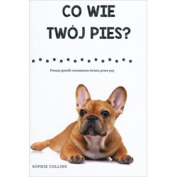 Co wie twój pies?