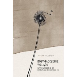 Doświadczenie wglądu