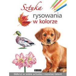 Sztuka rysowania w kolorze