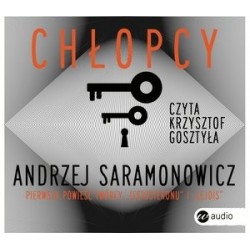 Chłopcy (książka audio)