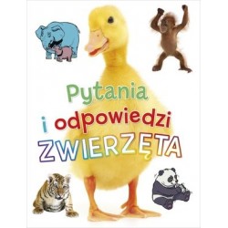 Pytania i odpowiedzi:...