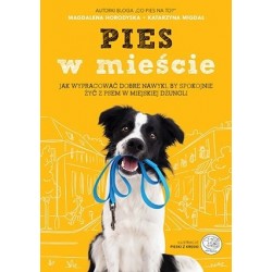 Pies w mieście. Jak...