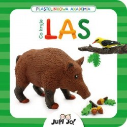 Plastelinkowa akademia. Co...