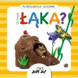 Plastelinkowa akademia. Co...