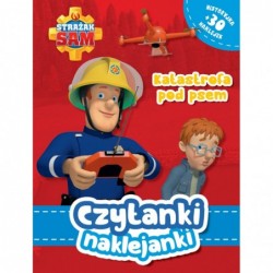 Czytanki naklejanki....