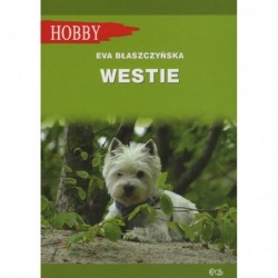 Westie