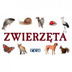 Zwierzęta