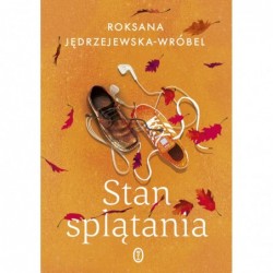 Stan splątania