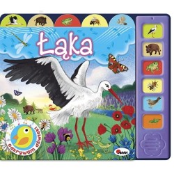 Odkrywam dźwięki. Łąka