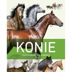 Konie