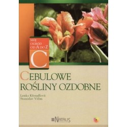 Cebulowe rośliny ozdobne